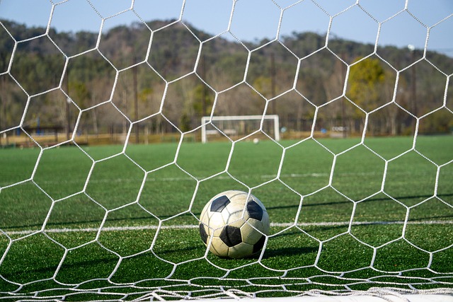 持着强大的 持着强大的