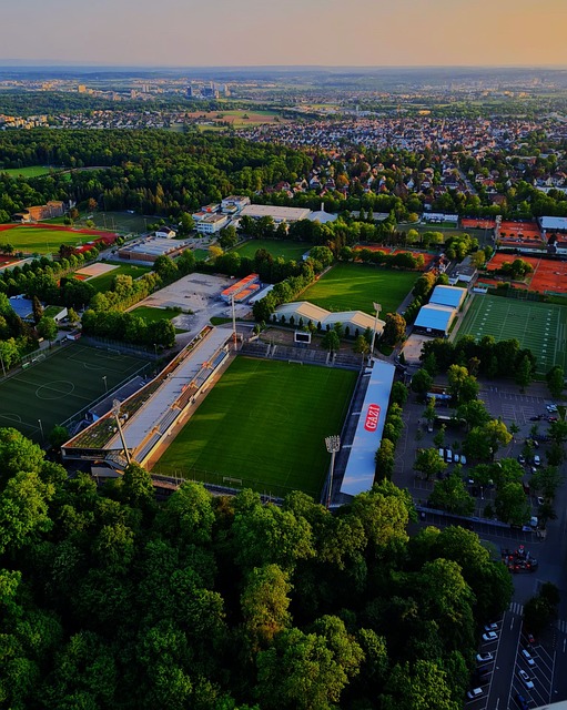 位德才兼备 位德才兼备