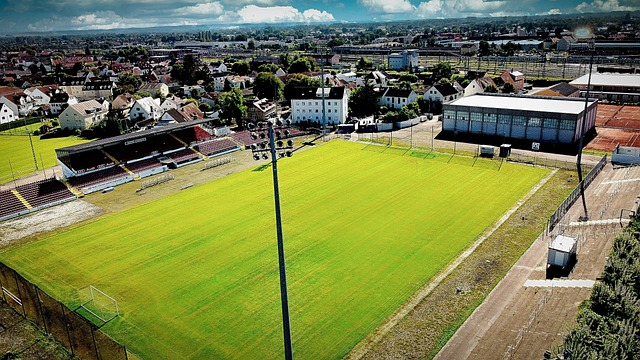 体案例来展 体案例来展