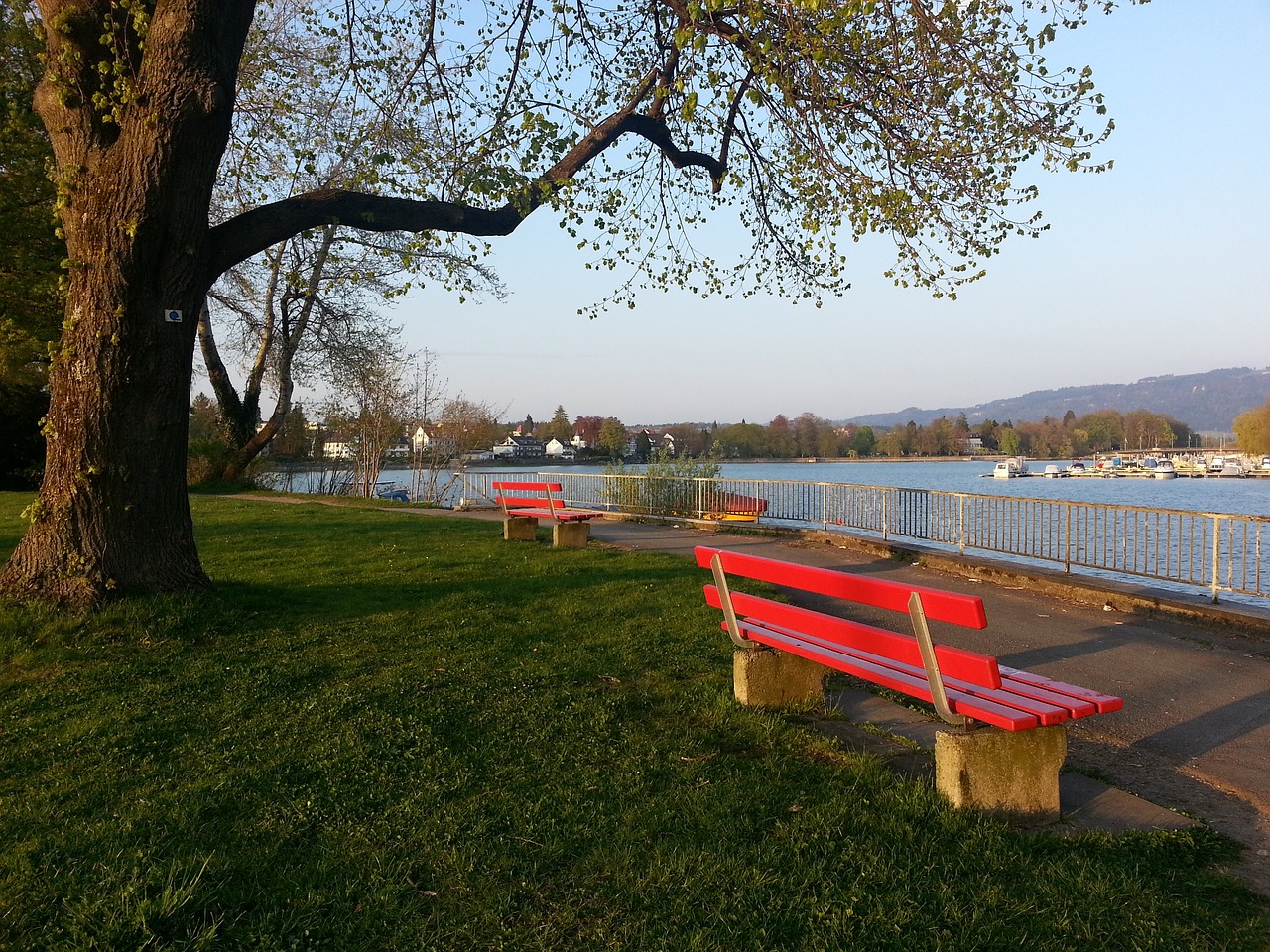 对话而备受 对话而备受