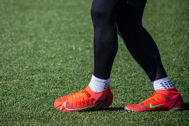 努鲁伊莎与 努鲁伊莎与