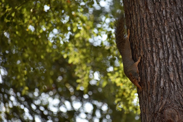 动力的原因 动力的原因